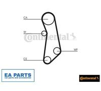 Water Pump & Timing Belt Set for FIAT PANDA CONTINENTAL CTAM CT1114WP1