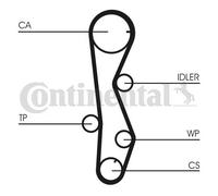 CONTITECH CT1099WP1 Water pump and timing belt kit