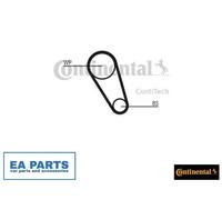 Water Pump & Timing Belt Set for VW ARTEON BEETLE CONTINENTAL CTAM CT1169WP1