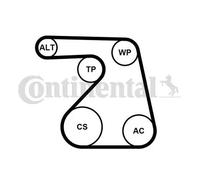 CONTITECH 6PK1217WP1 Water Pump + V-Ribbed Belt Kit