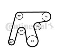 CONTITECH 6PK1642WP3 Water Pump + V-Ribbed Belt Kit