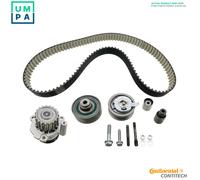 CONTITECH 3PK725 ELAST WP1 Water Pump + V-Ribbed Belt Kit