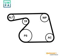 Water pump + V-belt kit 6PK1318WP1 CONTINENTAL CTAM for SUZUKI OPEL FIAT