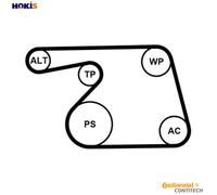 Water pump + V-belt kit 6PK1318WP1 CONTINENTAL CTAM for SUZUKI OPEL FIAT