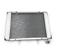 Water Radiator Cooling System Compatible With LH300 ATV 4WD Models Including LINHAI 300 And Linhai LH300 CUV