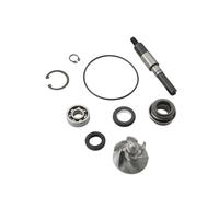 Water Repair Kit Fit For Keeway Outlook Logik 125cc 150cc 4-Stroke LC QJ153MJ-2 100110190