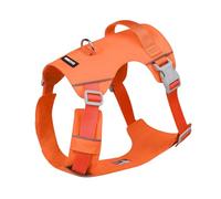 Water Resistance Dog Harness Chest Strap Pet Vest For Walking Training Reflective With Buckles Reflective Dog Harness