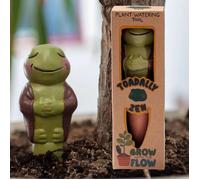 Water Spike Plant Watering Drip Device Irrigation Terracotta Novelty Zen Toad