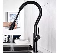 Water-Tap Faucet Booster Filter Kitchen Tap Black Hose Double Spout Chrome Pull Out Single Handle Vessel Sink Kitchen Mixer Taps,Black