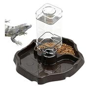 Water Tortoise | 2 in 1 Feeding | Reptile Feeder - Feeder for Geckos Turtles Frogs Chameleons