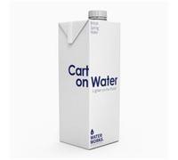 Water Works Carton Water 1Ltr - Lighter on the Planet