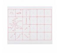 Water Writing Practice Cloth for Chinese with Plain Water No Ink Needed Basic Strokes Yong Character Eight Principles Reusable Oxford Suitable for, 46x35cm Yongzi 8