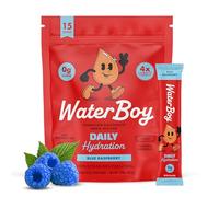 Waterboy Daily Hydration | 1,570mg Electrolyte Powder Packets | No Sugar, All Natural, Gluten Free, Zero Calories | 15 Drink Stick Mixes (Blue Raspberry)