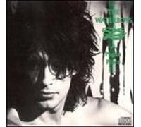 Waterboys - A Pagan Place