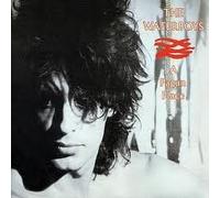 Waterboys - A Pagan place LONG PLAY (Portuguese Edition)