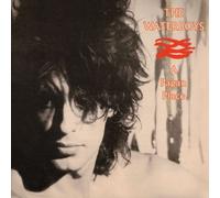 Waterboys - Pagan Place