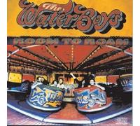 WATERBOYS - ROOM TO ROAM 2 CD NEW
