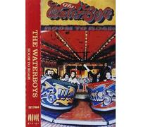 Waterboys - Room to Roam [CASSETTE]