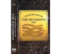 Waterboys - Secret Life of Waterboys