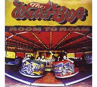 Waterboys,the - Room to Roam [Vinyl LP] [VINYL]