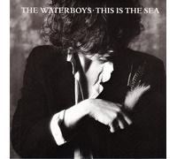 Waterboys - This Is The Sea
