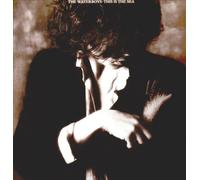 Waterboys - This Is the Sea [VINYL]