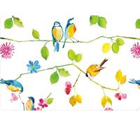 Watercolor Birds Note Cards (Boxed Cards, Stationery)
