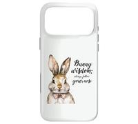 Watercolor Bunny Wisdom Follow Your Nose Rabbit Lover Case for iPhone 17 Pro Max