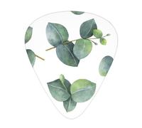 Watercolor Eucalyptus Leaves Branches,12 Pcs Guitar Pick,3 Different Thickness Plectrums for Acoustic Guitar Bass Ukulele (0.46mm 0.96mm 0.71mm)