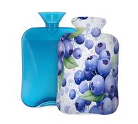 Watercolor Fresh Blueberry Pattern Hot Water Bottle with Cover, 2L Large Capacity Hot Water Bag for Hot Cold Compress, Hand Feet Warmer, Neck Shoulder Pain Relief