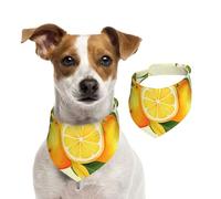 Watercolor Lemon Fruit Dog Bandanas,Summer Bandanas for Dogs Washable Adjustable Dog Triangle Scarf Bibs Cute Pet Bibs for Medium Large Dogs Puppy and Cats Small