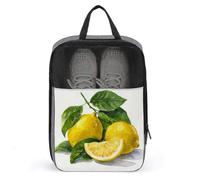 Watercolor Lemons and Sliced Green Leaves Shoe Bag for Travel Daily Use Anti-dust Storage Carrier Golf Shoe Pouch