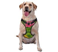 Watercolor Lotus Flowers No Pull Dog Harness Adjustable Reflective Oxford Easy Control Medium Large Dog Harness