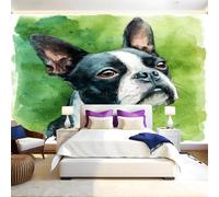 Watercolor Murals Photo Wallpaper Animal Boston Terrier Non-Woven Premium Art Print Fleece Wall Mural Poster Picture Design Modern Boy Girl Bedroom Home Decor 350 x 256cm