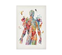 Watercolor Muscular System Anatomy Art Medical Decoration 4 Canvas Poster Bedroom Decor Landscape Office Room Decor Gift 12" L X 18" W