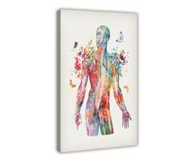 Watercolor Muscular System Anatomy Art Medical Decoration Canvas Poster Bedroom Decor Landscape Office Room Decor Gift 8" L X 12" W