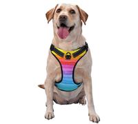 Watercolor Paint Bright Colors Line Artwork,Pet Harness,Adjustable Reflective Dog Harness,Pet Leash Vest,XL