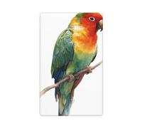 Watercolor Parrot Single Toggle Blank Wall Plate Light Switch Cover Decorative 1 Gang for Kitchen Room Bathroom Size 11.4x7cm