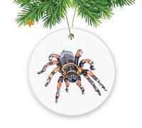 Watercolor Single Tarantula Christmas Decorations Funny Christmas Tree Hanging Ornament Ceramic Xmas Hanging Ornament For Kitchen Keepsake Office
