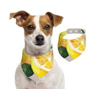 Watercolor Summer Fruit Lemons Slich Leaves,Dog Bandanas Cotton Pet Scarf Adjustable Bibs for Pet,L