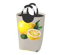 Watercolor Summer Fruit Lemons Slich Leaves, Laundry Hamper, Collapsible Laundry Basket Large Durable Storage Bin with Handles 50L