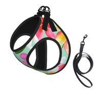 Watercolor Tropical Flowers Floral Plumeria,Pet Harness,Adjustable Reflective Dog Harness,Pet Leash Vest,S