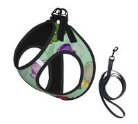 Watercolor Tulip Flower No Pull Dog Harness and Leash Set, Cute Reflective Adjustable Vest for Small Dogs,Breathable Mesh Puppy Harness for Walking Hiking,Medium