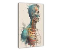 Watercolour Anatomical Drawings of The Human Body Canvas Poster Bedroom Decor Landscape Office Room Decor Gift 08x12inch(20x30cm)