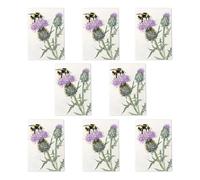 Watercolour Bumblebee Thistle Greeting Cards Pack of 8 Scottish Floral Art Note Cards Any Occasion Blank Inside A6 10x15cm