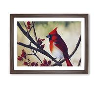 Watercolour Cardinal Bird Vol.5 Framed Print | A4 Walnut Framed Wall Art | Ready to Hang | Modern Historical Picture | Living Room Bedroom Lounge Office