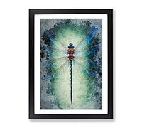 Watercolour Dragonfly No.1 Framed Print | A2 Black Framed Wall Art | Ready to Hang | Modern Animal Picture | Living Room Bedroom Lounge Office