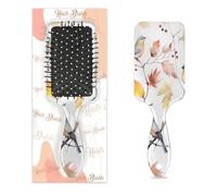 Watercolour Hummingbird Hair Brush Birds On Branch Wet Dry Air Cushion Hair Brush Plastic Detangler Hairbrush for Kids Adults Back To School Gift Women Men