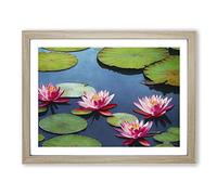 Watercolour Lily Pond Vol.4 H1022 Framed Print for Living Room Bedroom Home Office Décor, Wall Art Picture Ready to Hang, Oak A3 Frame (46 x 34 cm)