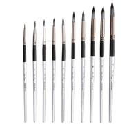Watercolour Paint Brushes Set, 10Pcs Round Tip Fine Paint Brushes Acrylic Paint Brush Round Miniature Paint Brush for Water Color Acrylic Oil Gouache Ink Detail Rock Painting